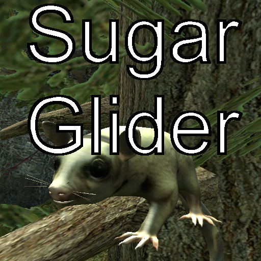 Sugar Glider