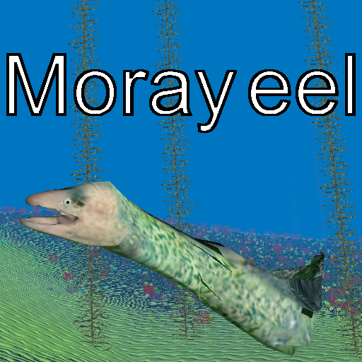 Moray eel ((Old))