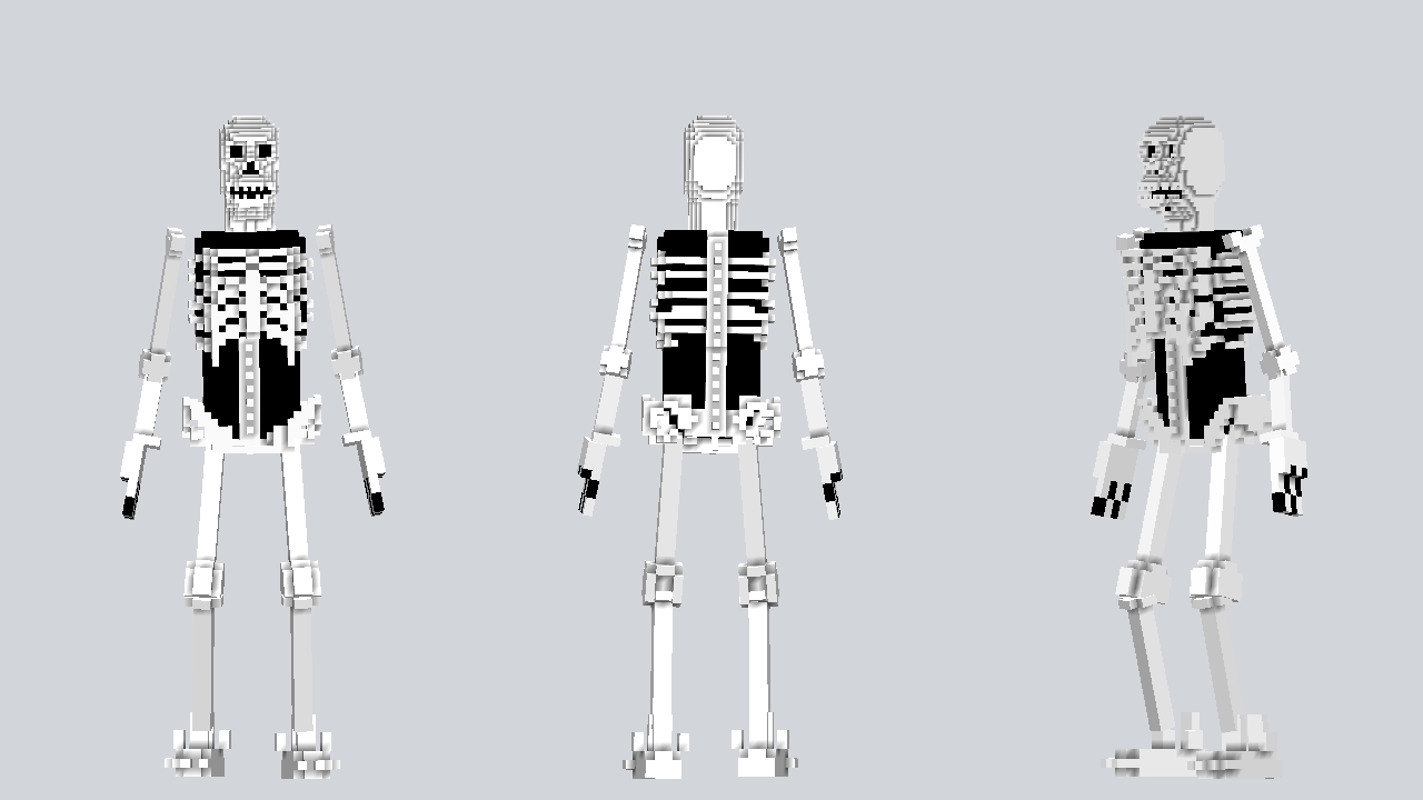 Skeleton