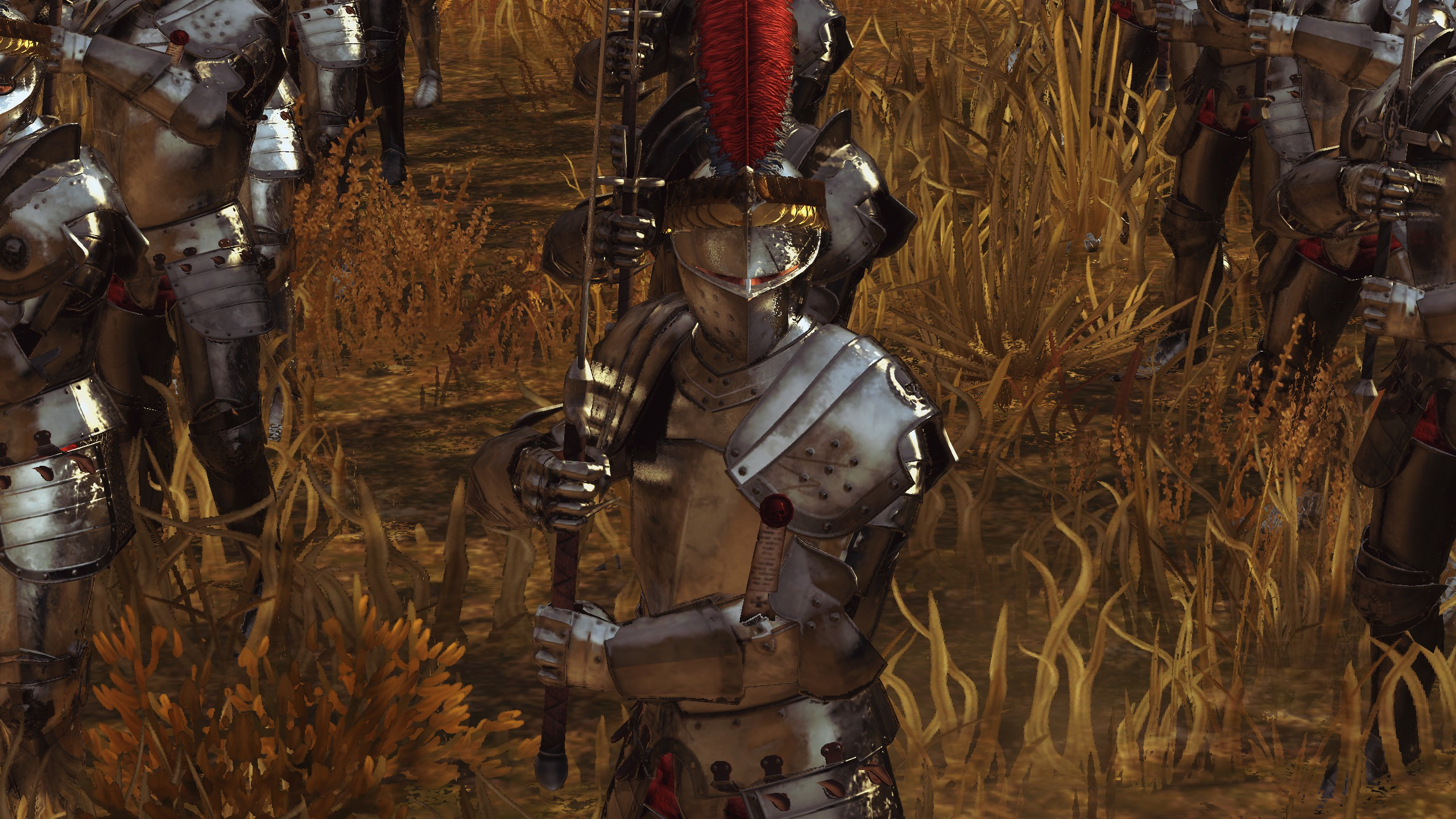 Greatswords wear full plate armor