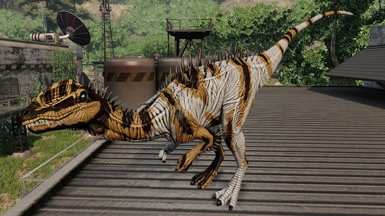 Piebald Dilo