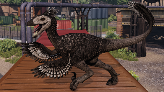 White Faced Novaraptor