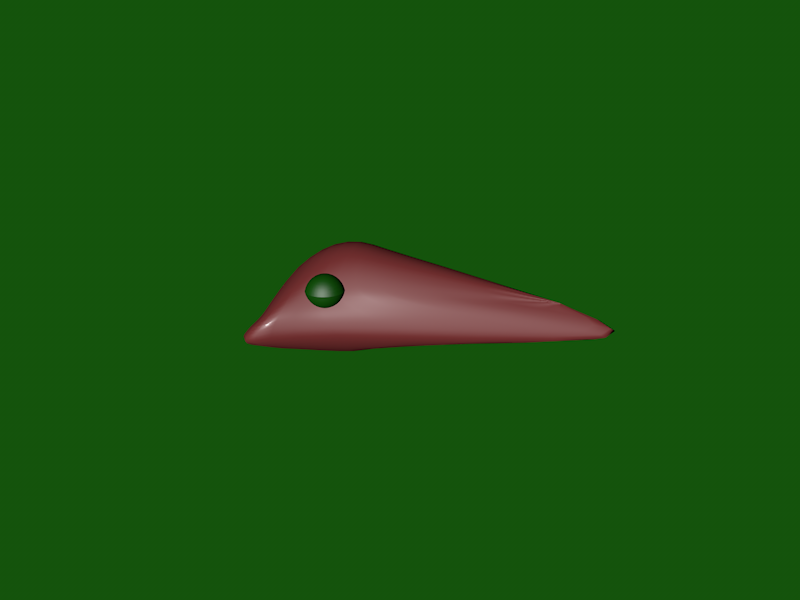 snail