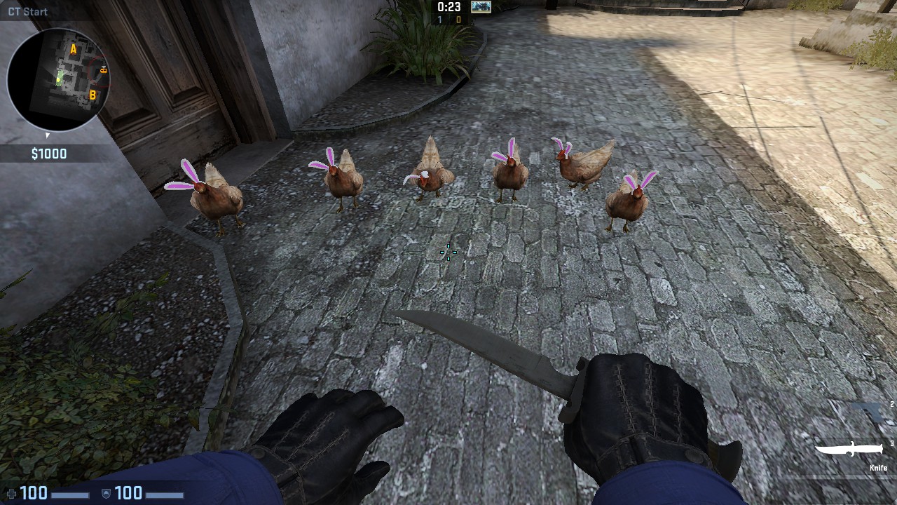 Steam Community :: Guide :: How to make a chicken follow you!
