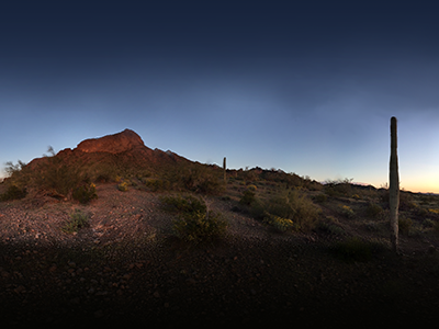 Arizona Desert