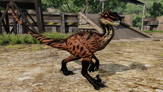 Alpha Outback Novaraptor