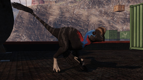 Cassowary Oviraptor