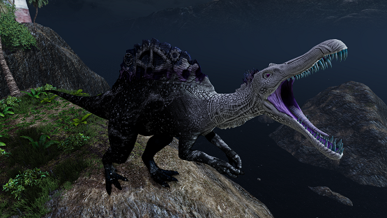 A Stitch in Time Spino