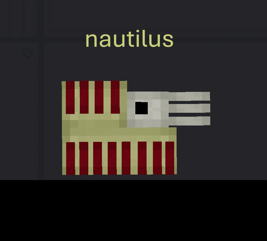 nautilus