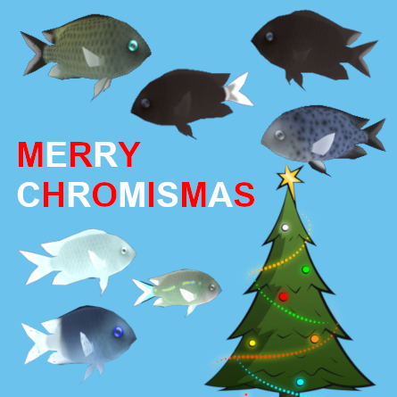 Merry Chromismas