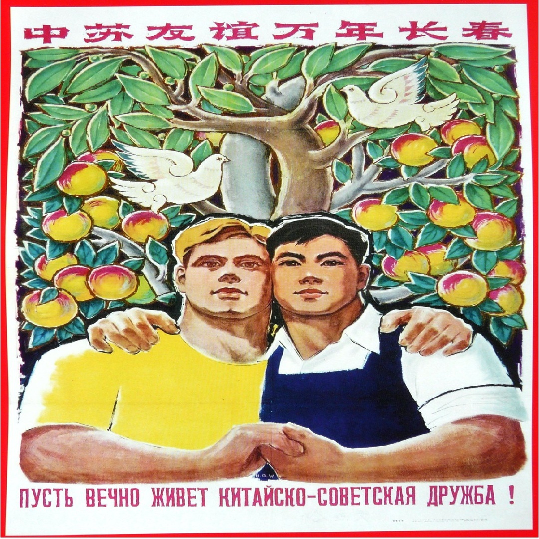 Dragon vs Bear : Sino-Soviet border conflict 1969