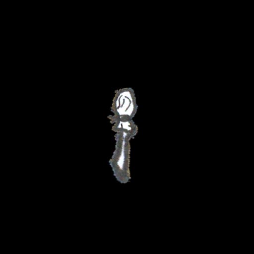 Torch