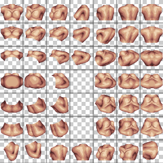 Female Chest 2 Cleavage