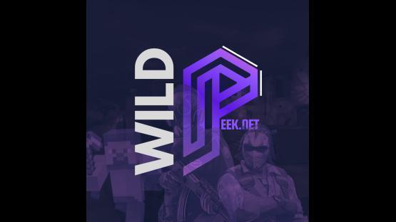 WildPeek.Net | Community Workshop Assets Pack – Counter-Strike 2 Mod