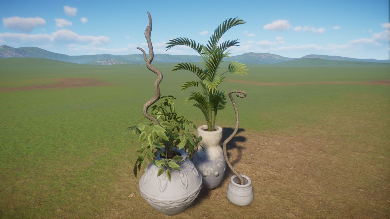 Indoor Plants