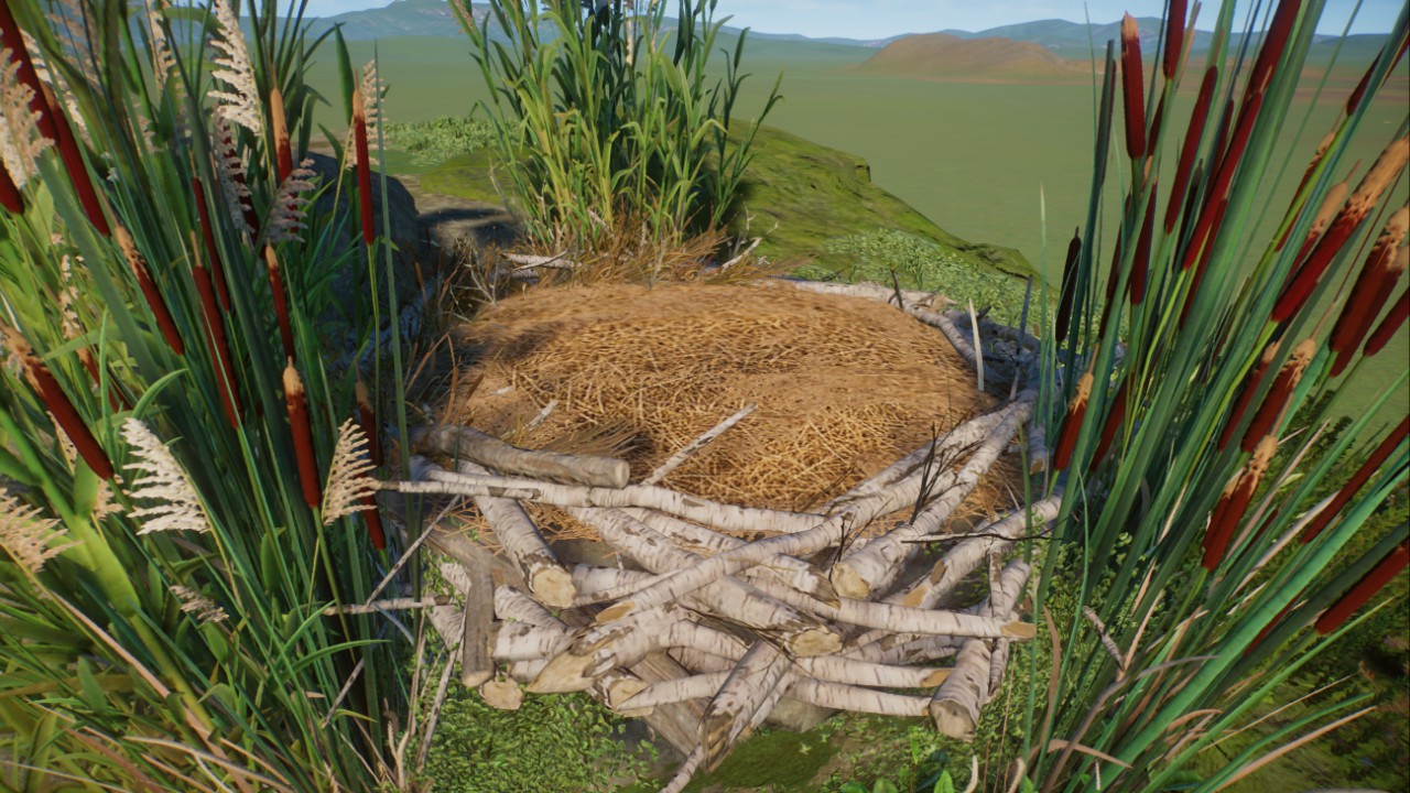 Swan Nest