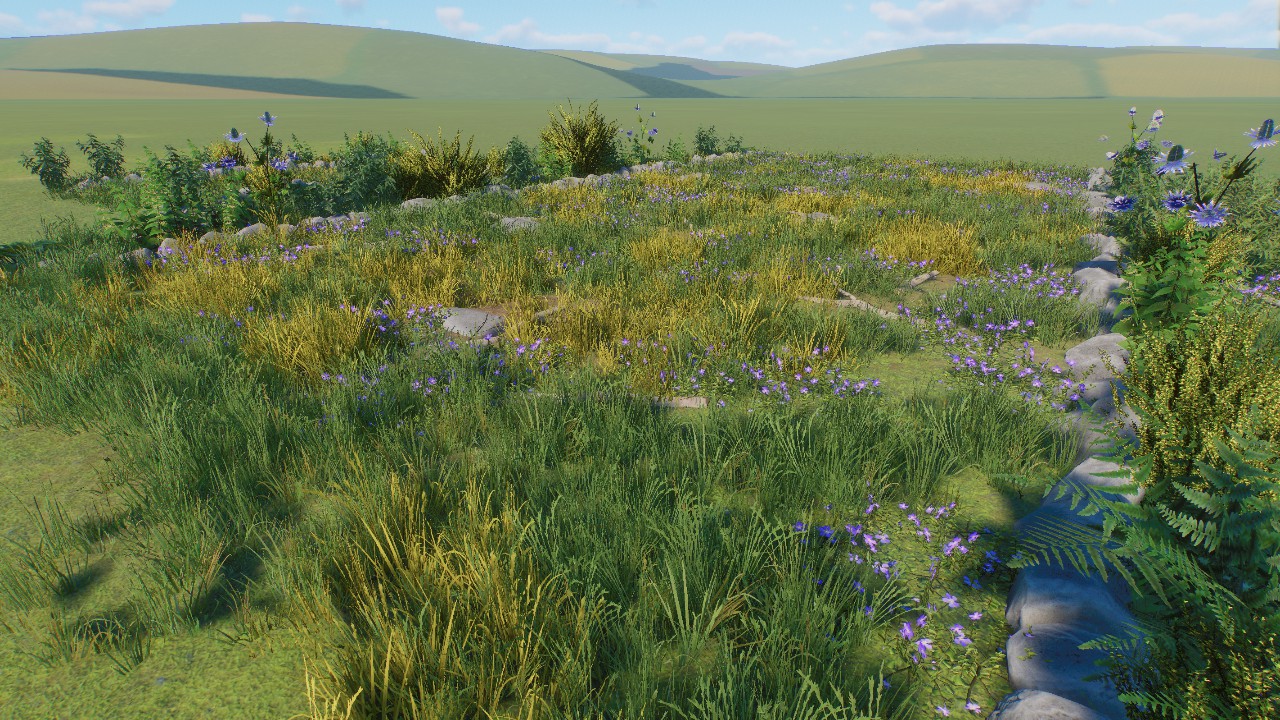 Natural Path