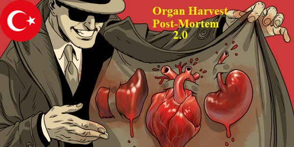 Harvest Organs Post Mortem - Türkçe Çeviri