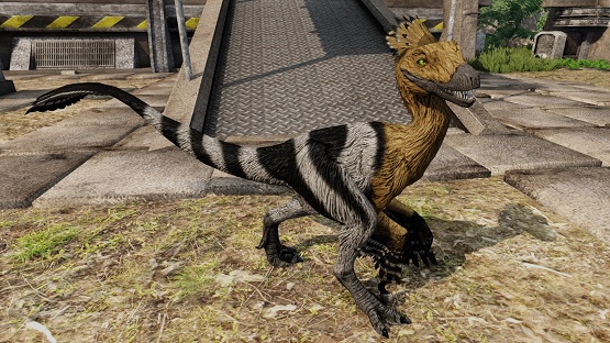 Eurasian Novaraptor