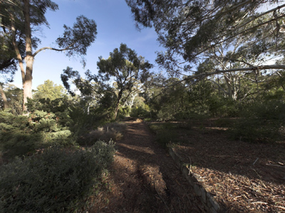 Canberra_Botanic_Gardens