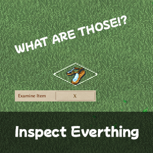 Inspect Everything