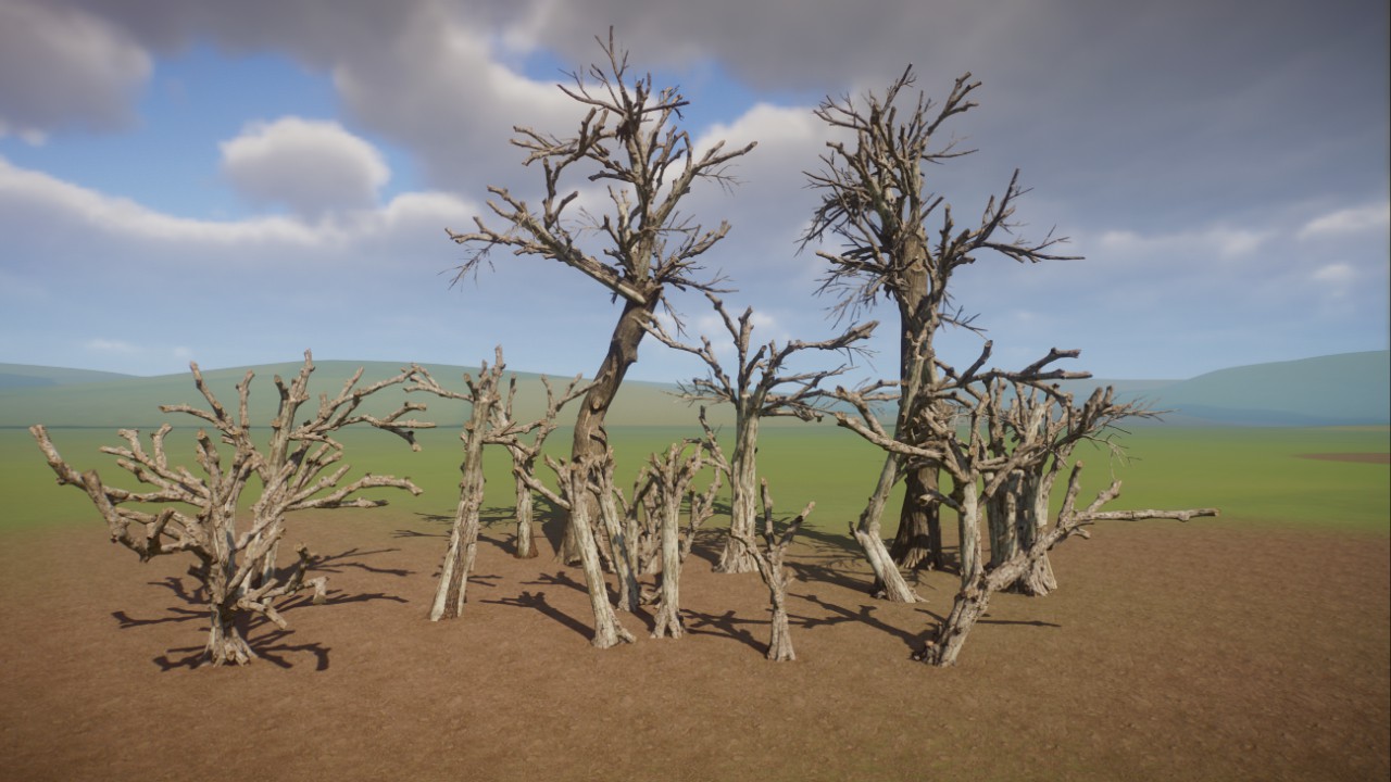 Dead Trees