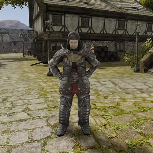 Gothic 2 armor mod