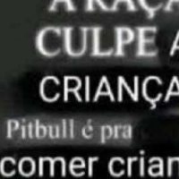tigrinho