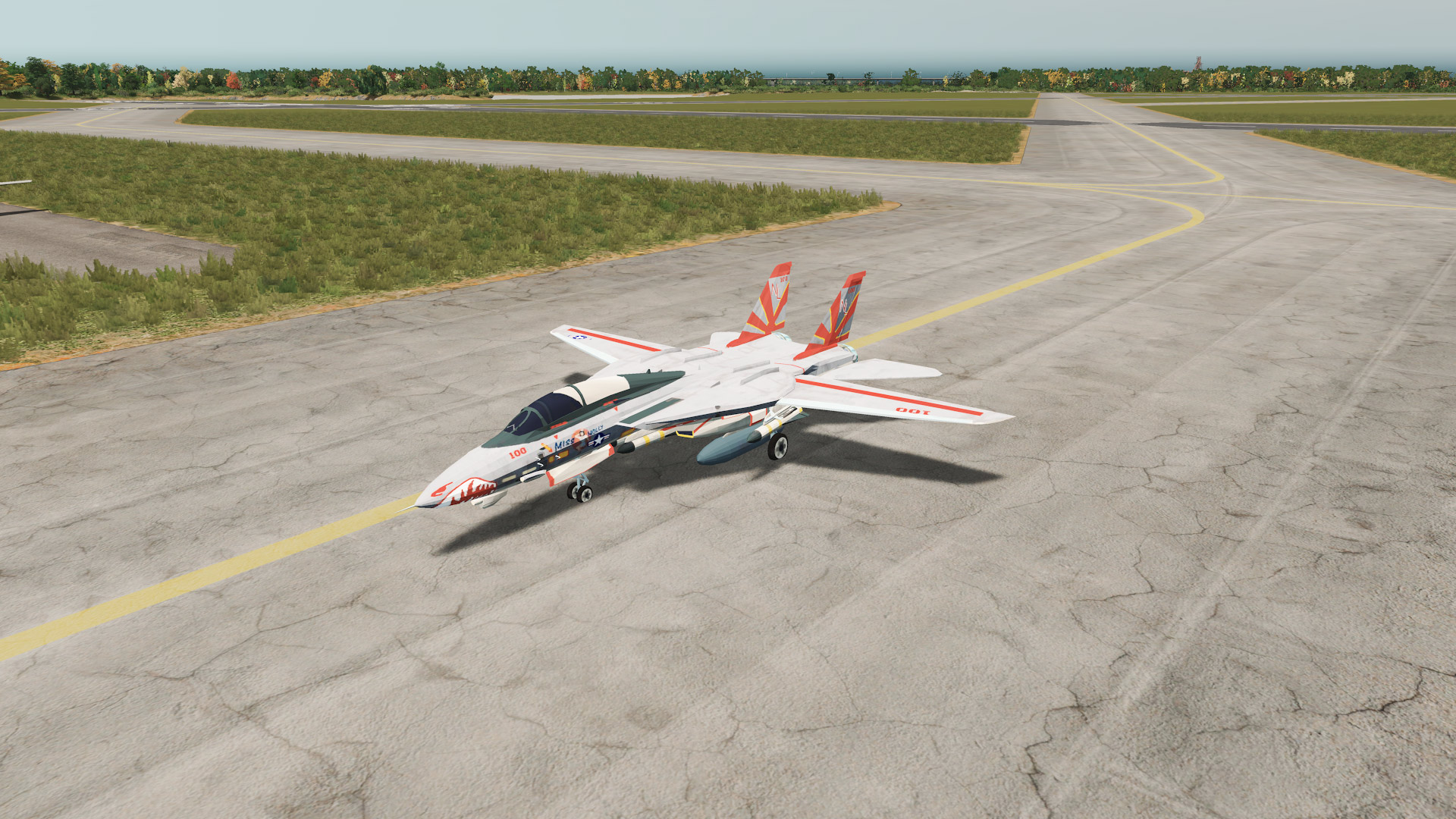 F-14 Tomcat "Miss Molly"