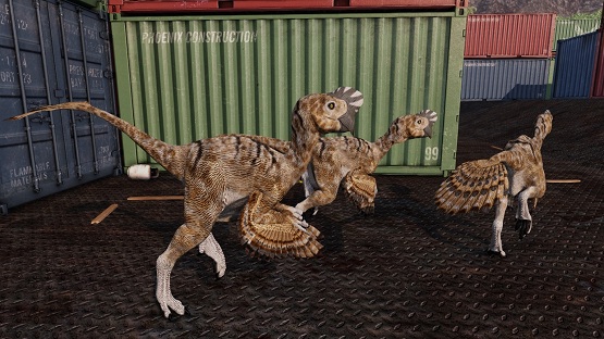 Coyote Oviraptor