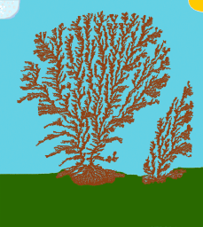 Weird Tree