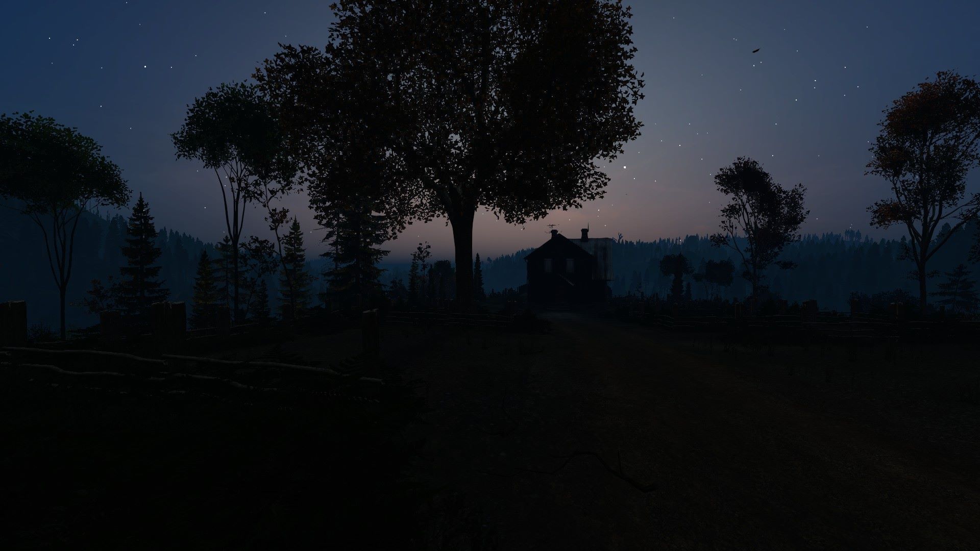 DayZdel