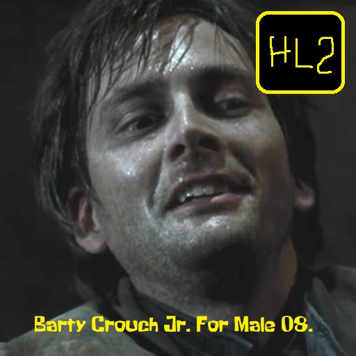 Barty Crouch Jr. (Harry Potter) for Male 08 (HL2)