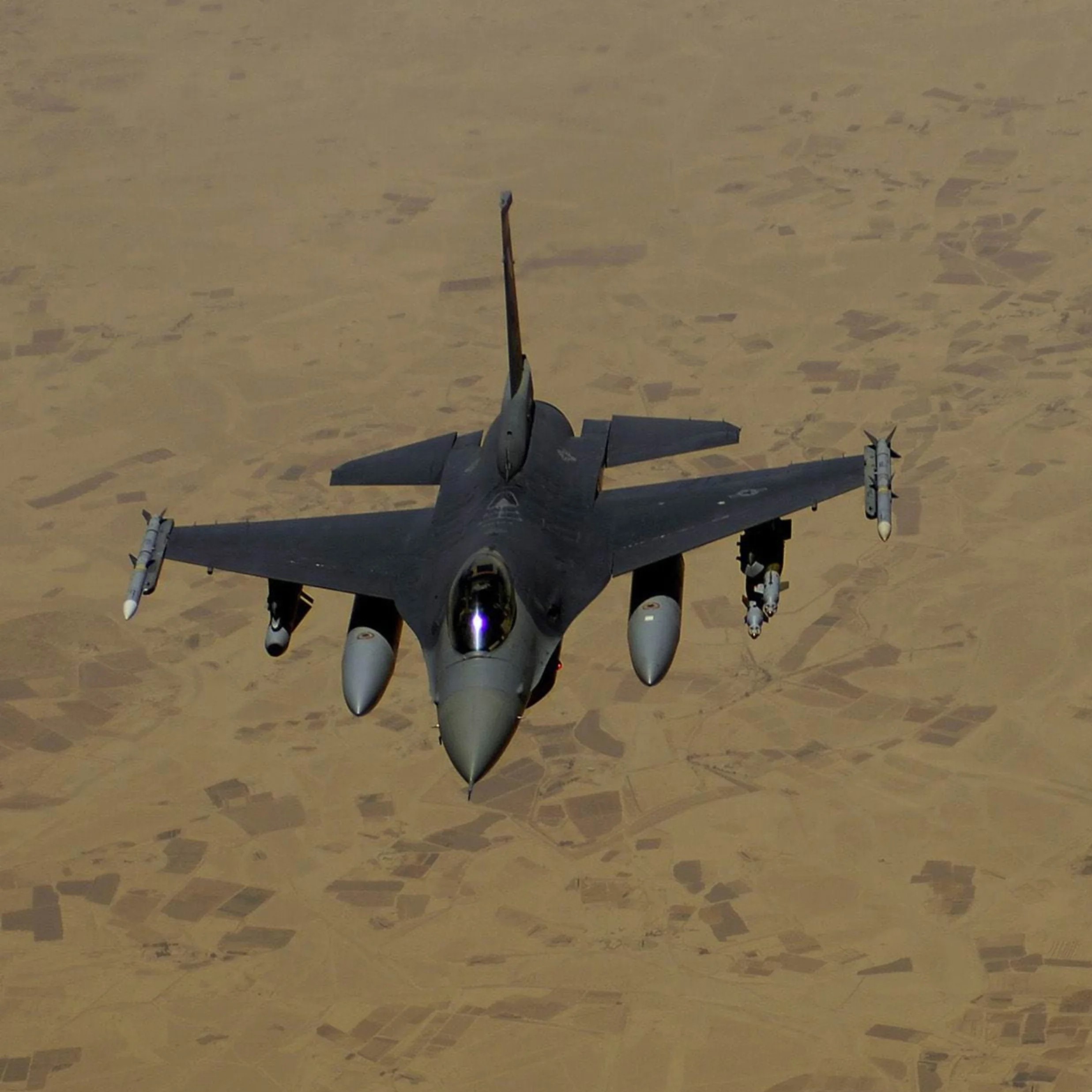 Op. Desert Viper