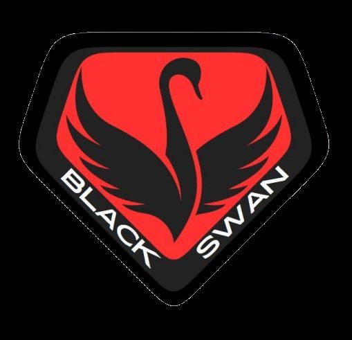 The Black Swan Company