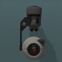 Portal camera