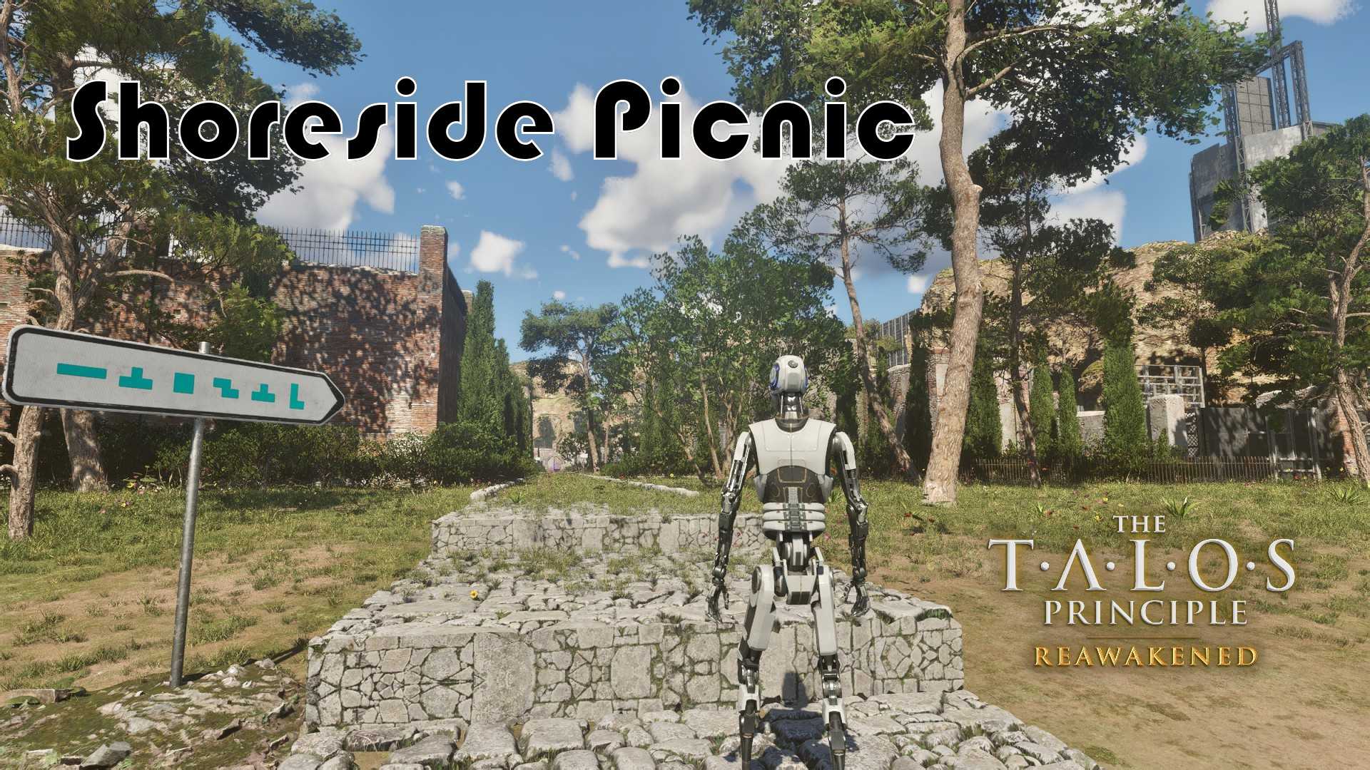 Shoreside picnic