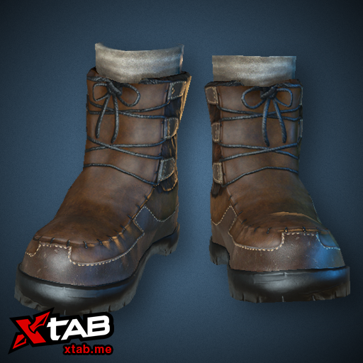 Moccasins