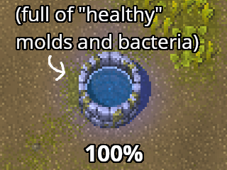 Purifying Wells (100% HP Lock)