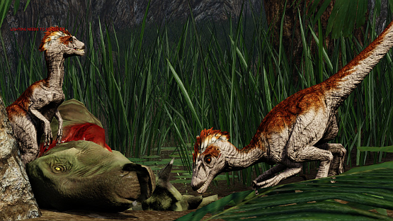Marbled Novaraptor