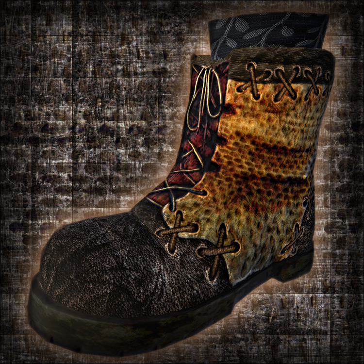 The Collector - Boots