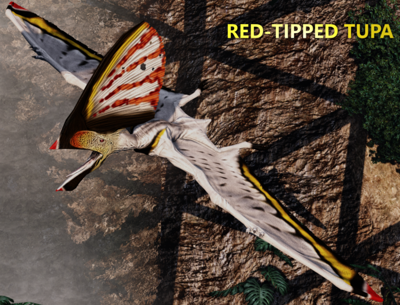Red-Tipped Tupandactylus