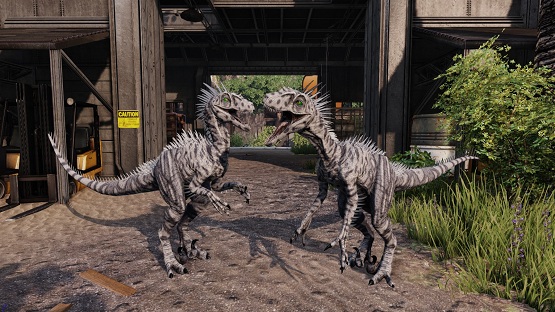 Snowstorm Novaraptor