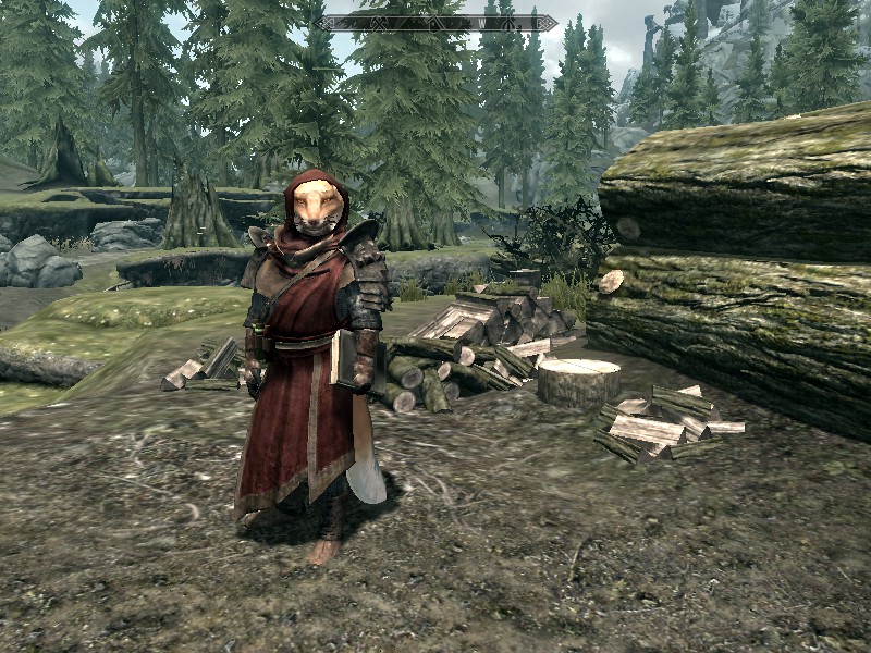 Fennec Follower Arcane Fox