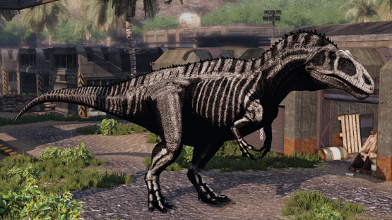 Graveyard Acrocanthosaurus