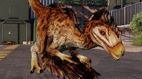 Tyto Feathered Novaraptor