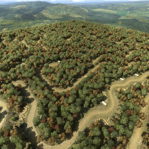Beleforrest