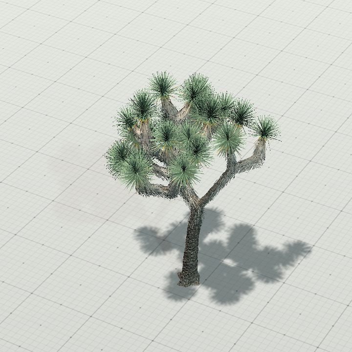Joshua Tree