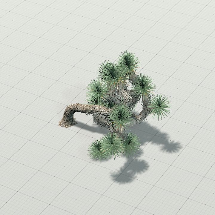 joshua_tree_2