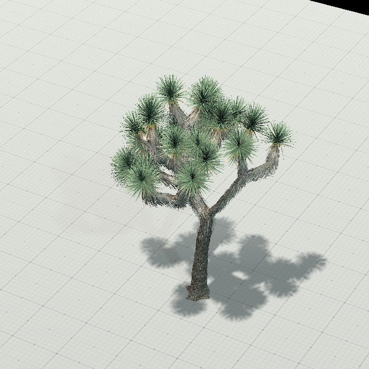 joshua_tree_7